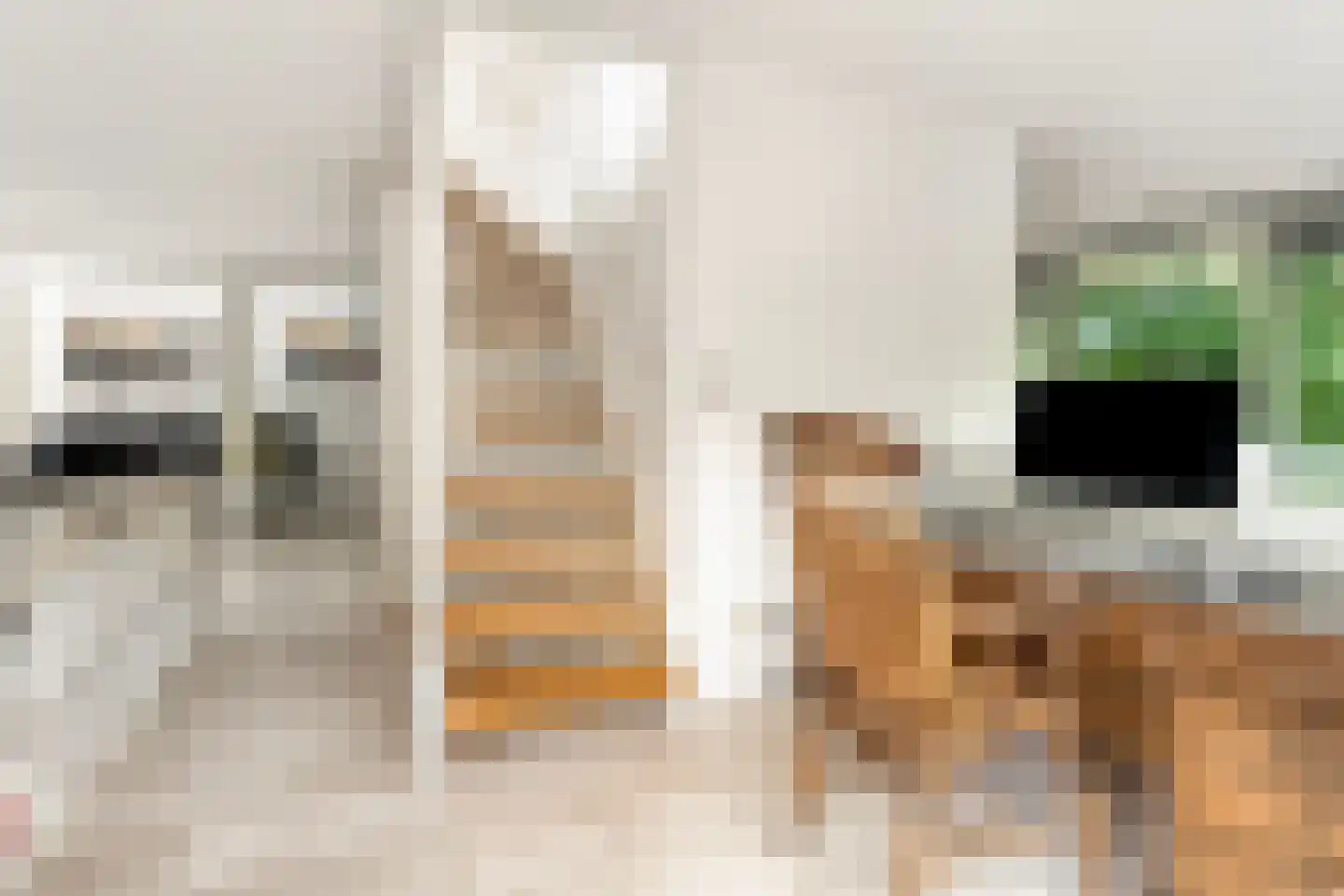 Kruisweg 6 Nijmegen thumbnail 18