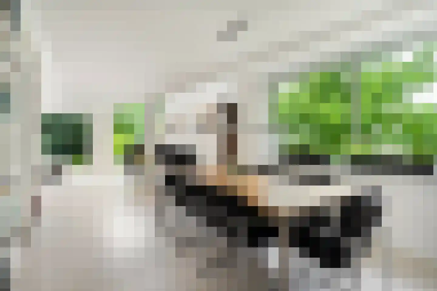 Kruisweg 6 Nijmegen thumbnail 22