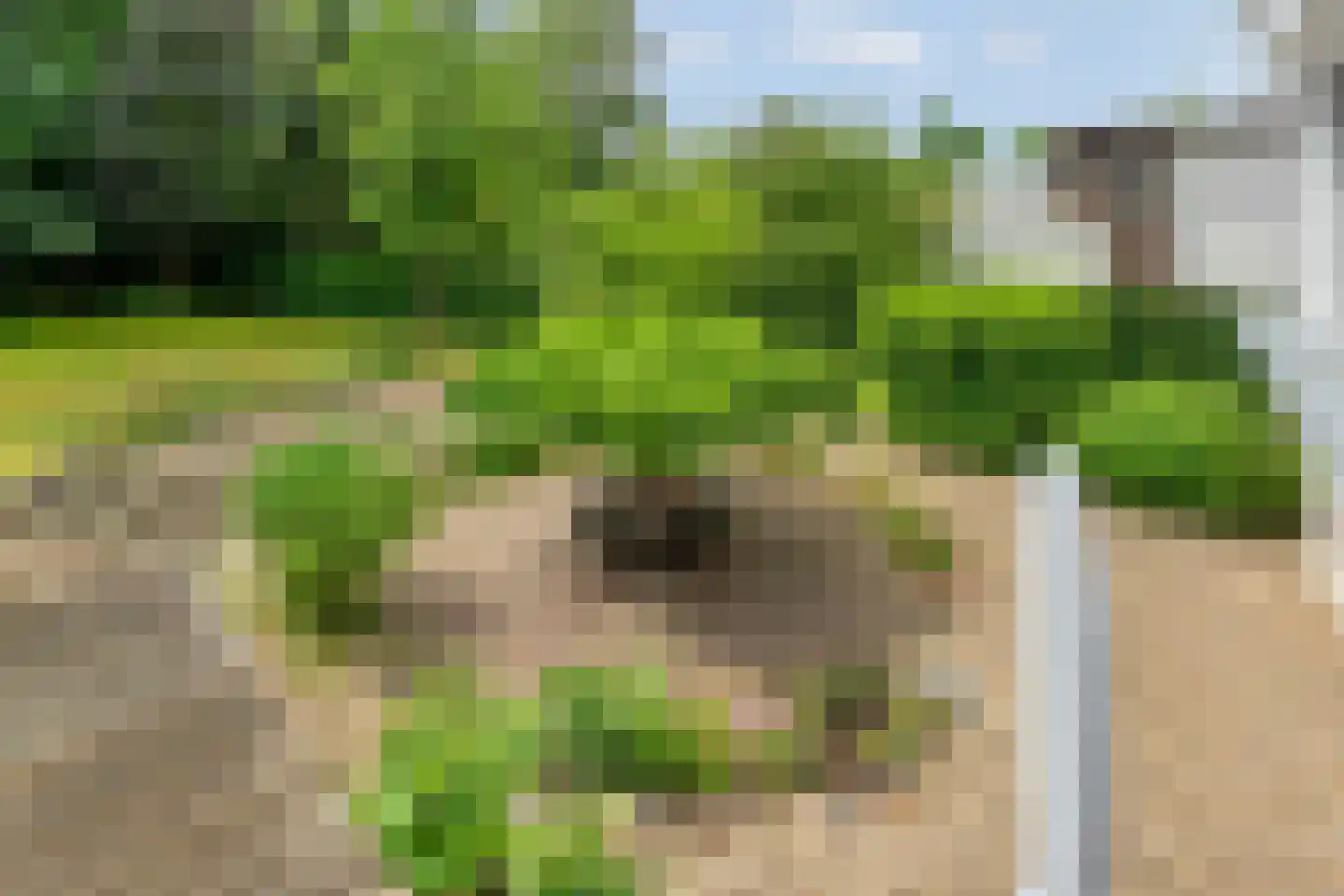 Kruisweg 6 Nijmegen thumbnail 59