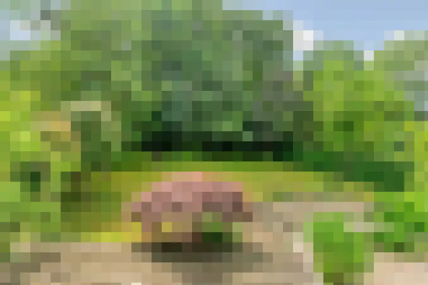 Kruisweg 6 Nijmegen thumbnail 61