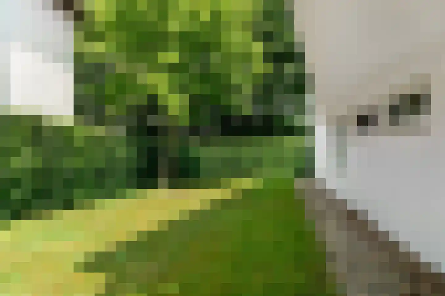 Kruisweg 6 Nijmegen thumbnail 65