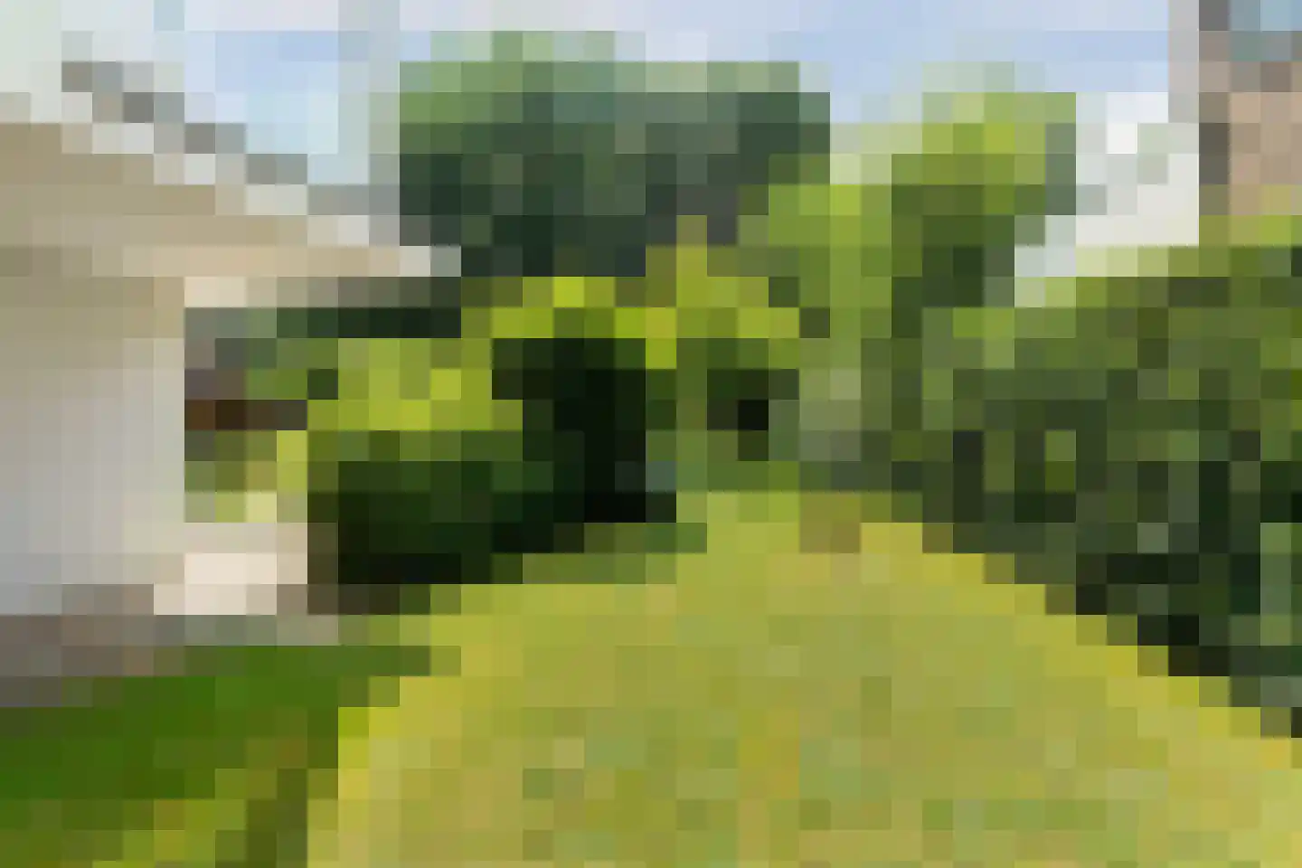 Kruisweg 6 Nijmegen thumbnail 66