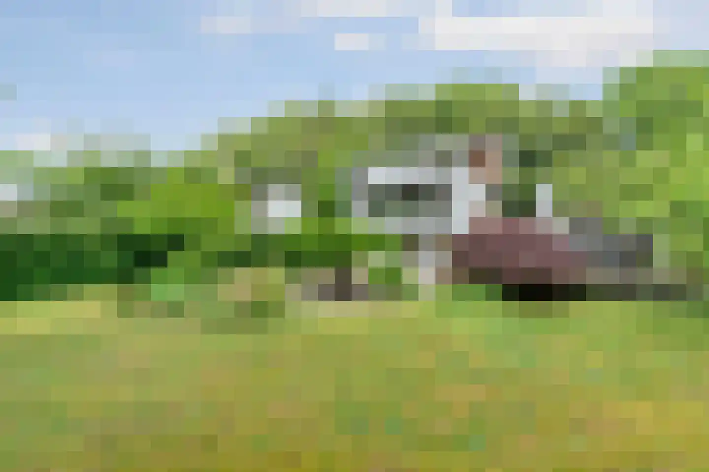 Kruisweg 6 Nijmegen thumbnail 69