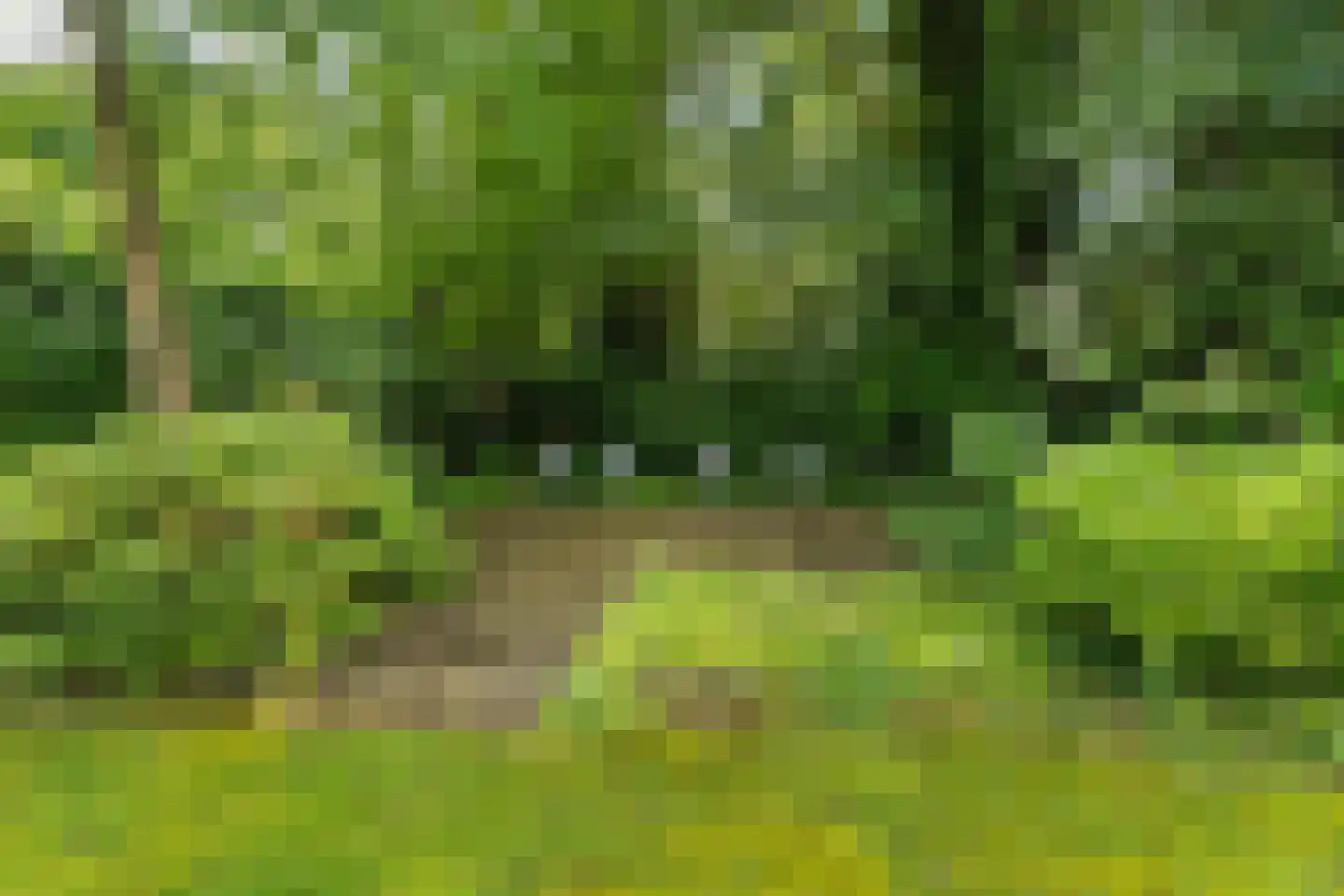 Kruisweg 6 Nijmegen thumbnail 71