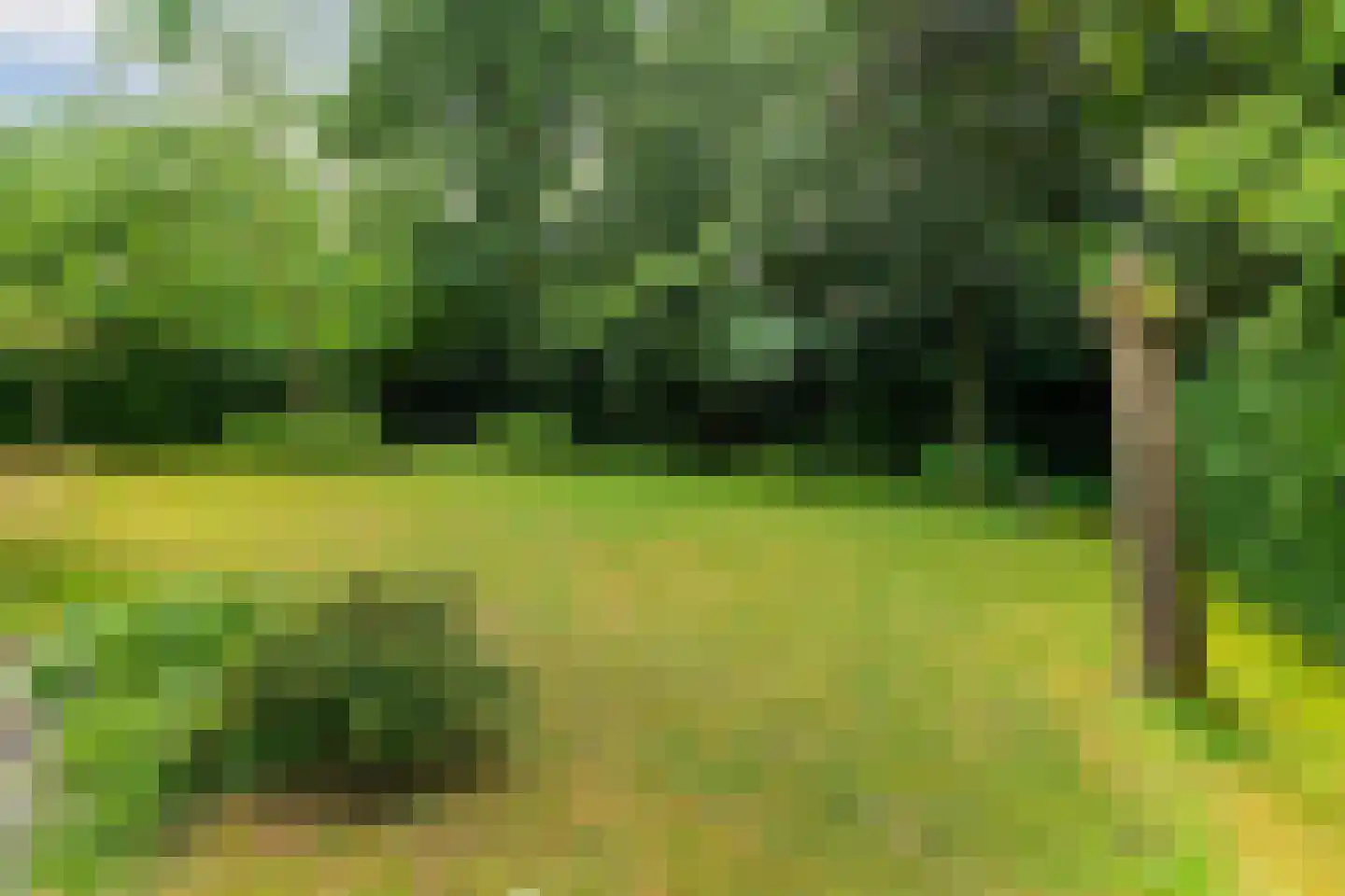Kruisweg 6 Nijmegen thumbnail 72