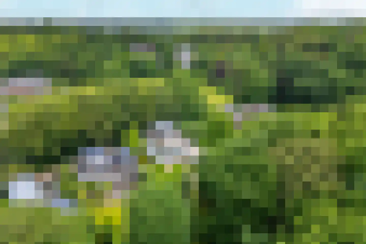 Kruisweg 6 Nijmegen thumbnail 74