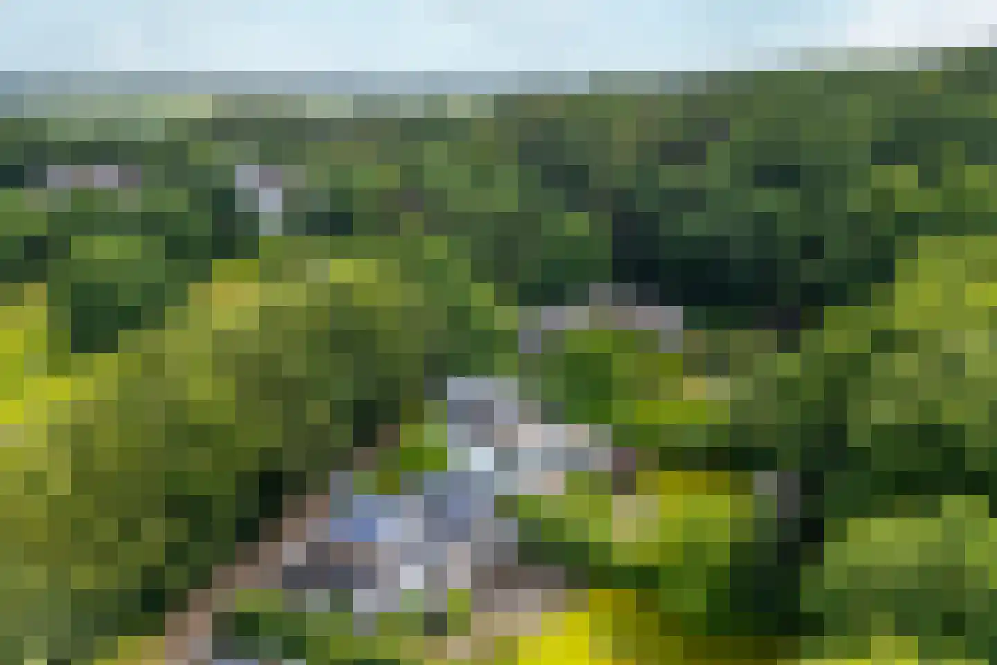 Kruisweg 6 Nijmegen thumbnail 75