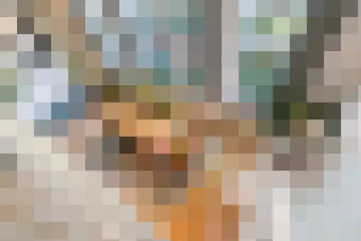Kruisweg 7 M Utrecht thumbnail 14