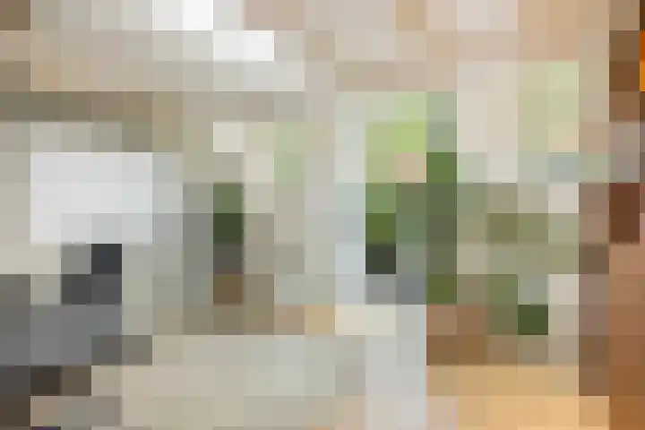 Kruisweg 7 M Utrecht thumbnail 22