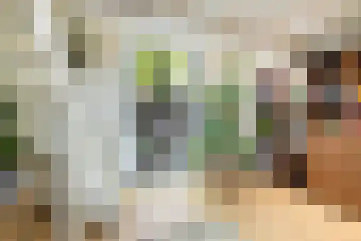 Kruisweg 7 M Utrecht thumbnail 23