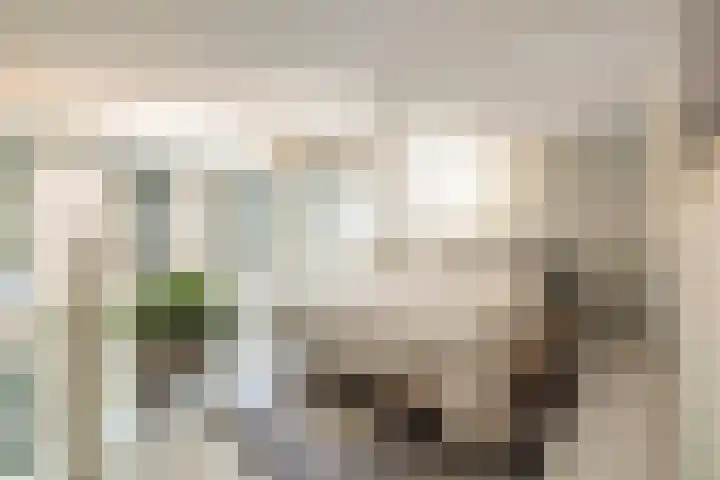 Kruisweg 7 M Utrecht thumbnail 27