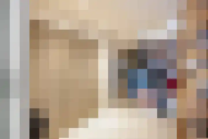 Kruisweg 7 M Utrecht thumbnail 29