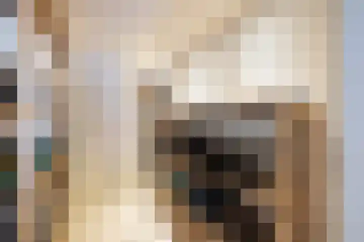 Kruisweg 7 M Utrecht thumbnail 30