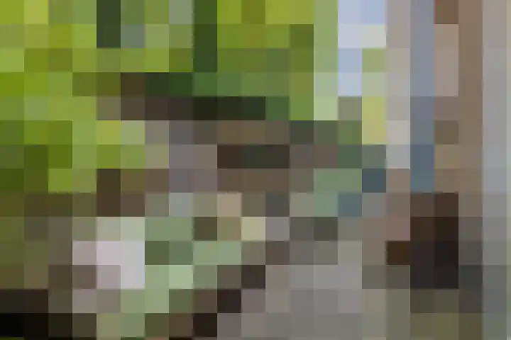 Kruisweg 7 M Utrecht thumbnail 32