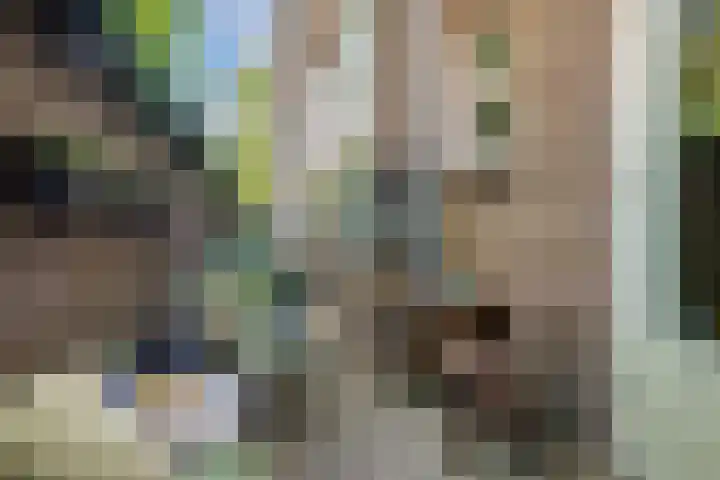 Kruisweg 7 M Utrecht thumbnail 33