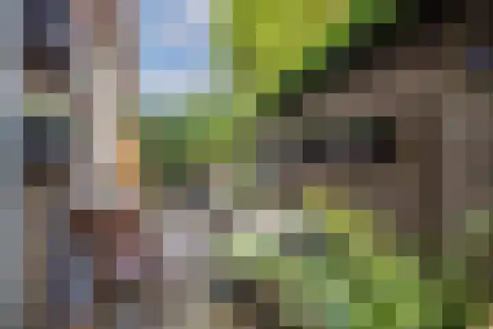 Kruisweg 7 M Utrecht thumbnail 36