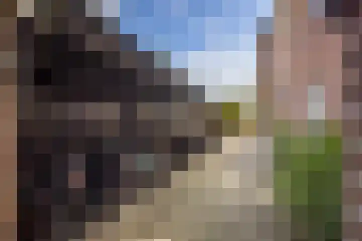 Kruisweg 7 M Utrecht thumbnail 37