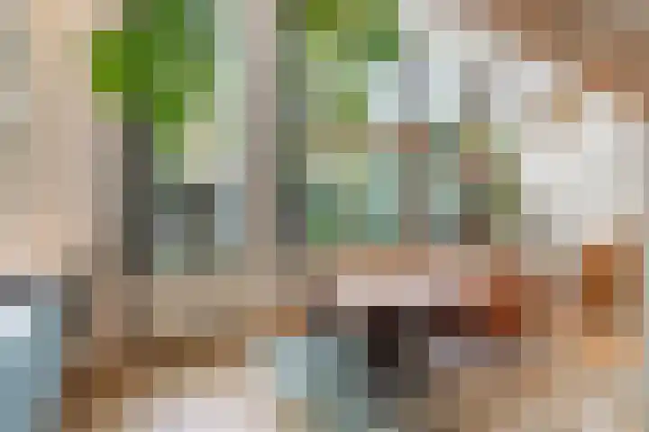 Kruisweg 7 M Utrecht thumbnail 5