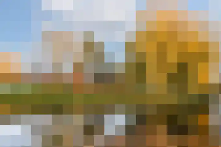 Kruisweg 881 Hoofddorp thumbnail 17