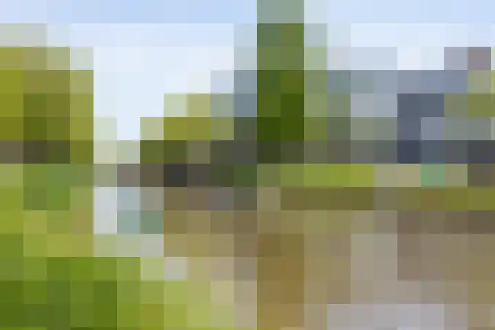 Kruisweg 9 E Utrecht thumbnail 32