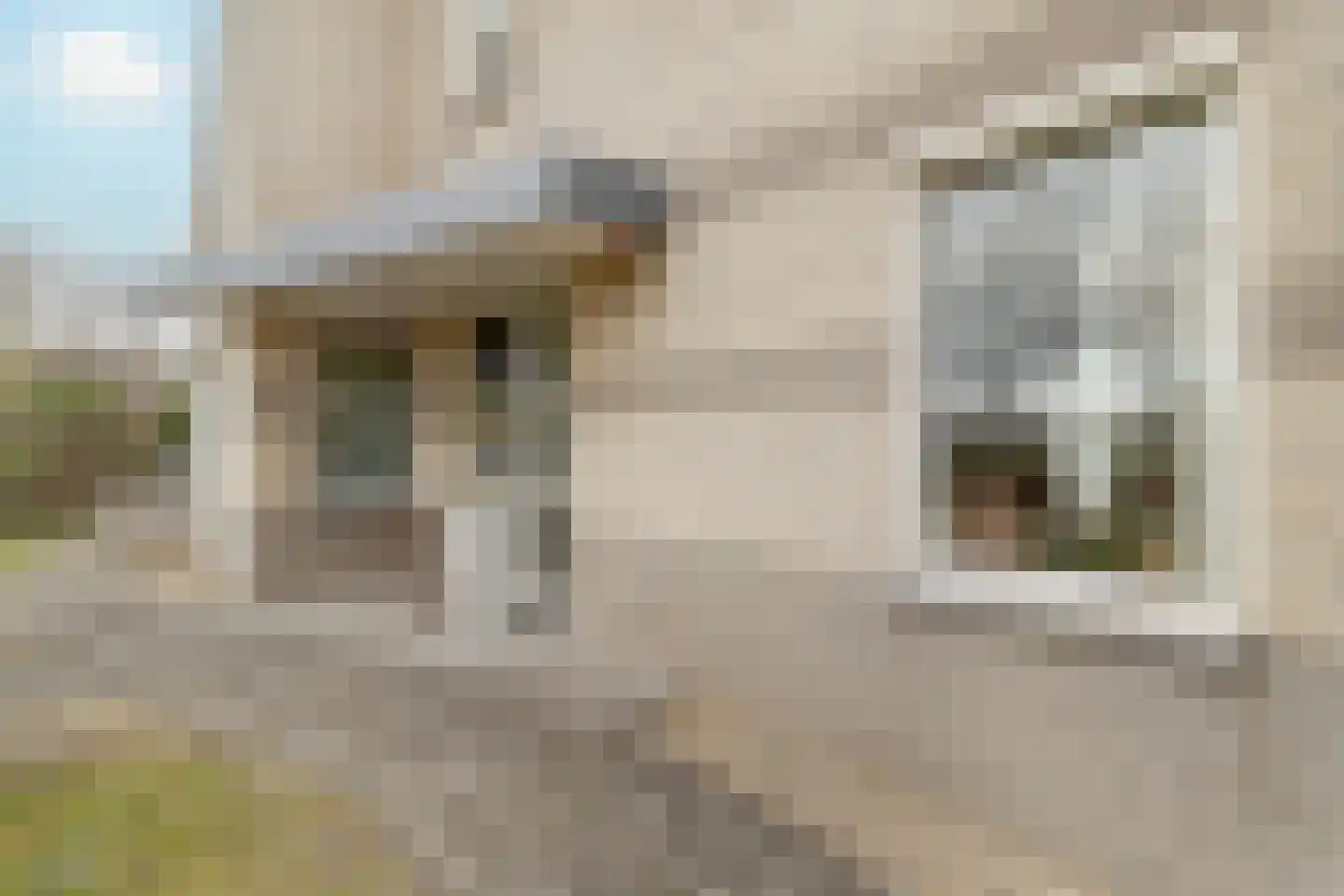 Kruisweide 19 Nieuwstadt thumbnail 10