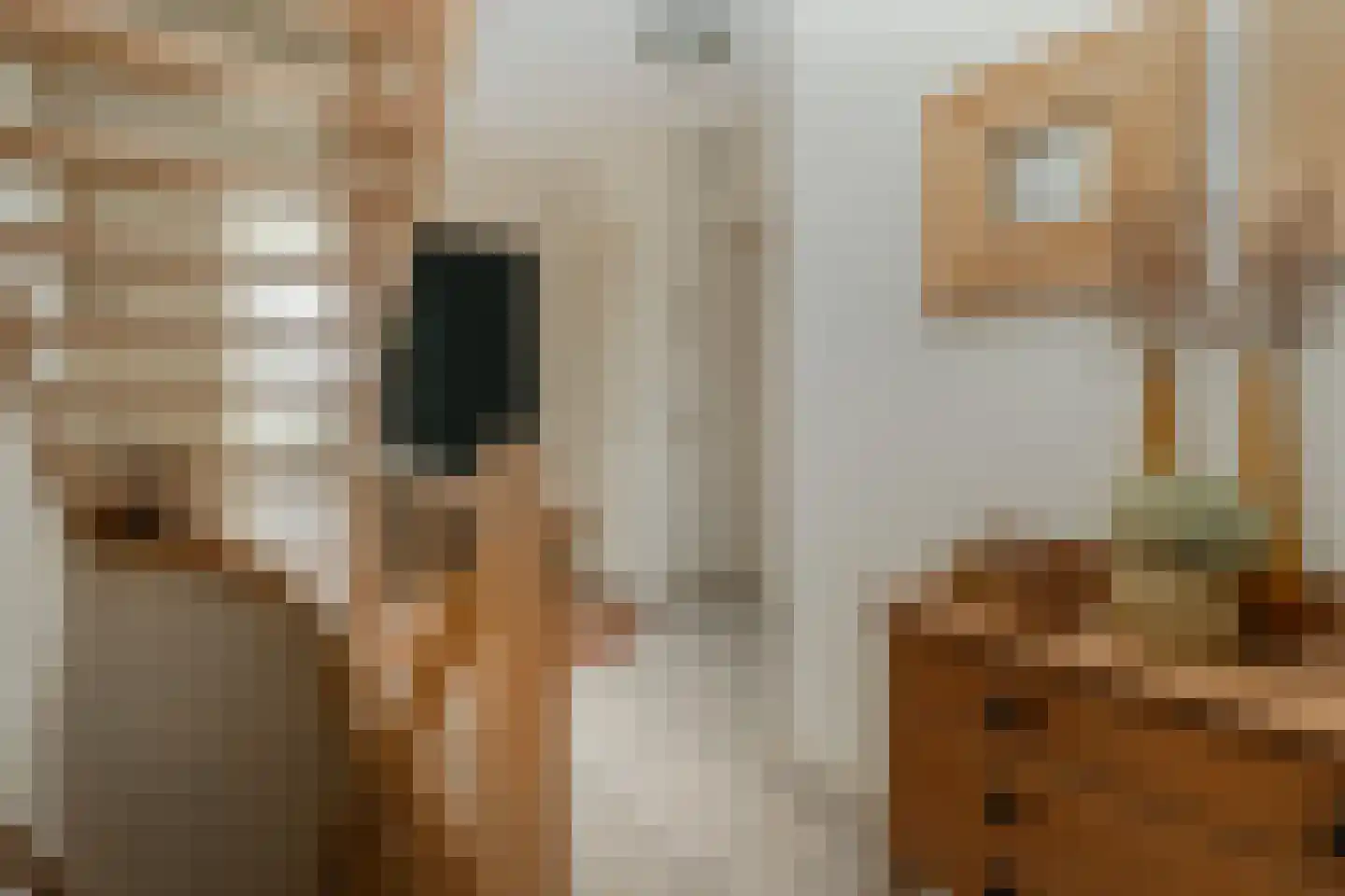Kruisweide 19 Nieuwstadt thumbnail 12