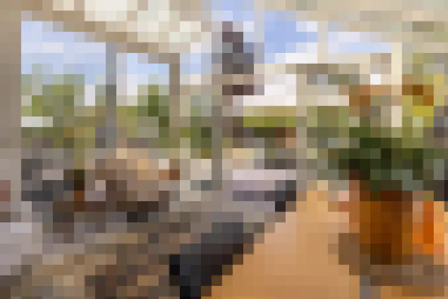 Kruisweide 19 Nieuwstadt thumbnail 30