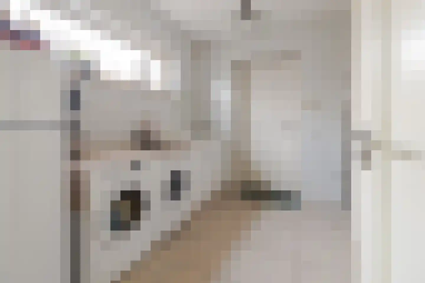 Kruisweide 19 Nieuwstadt thumbnail 33