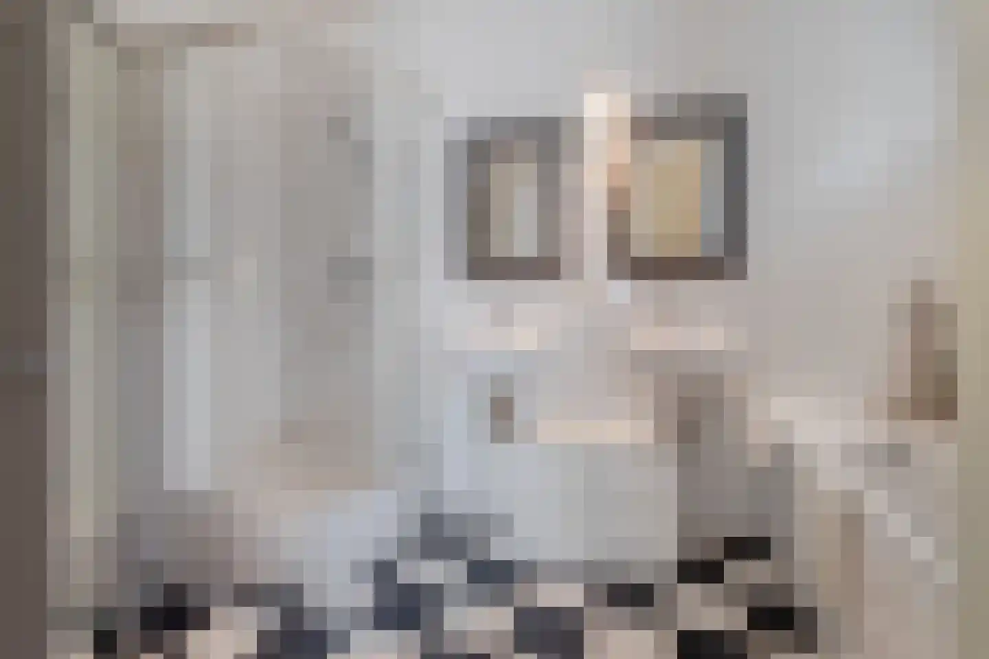 Kruisweide 19 Nieuwstadt thumbnail 36