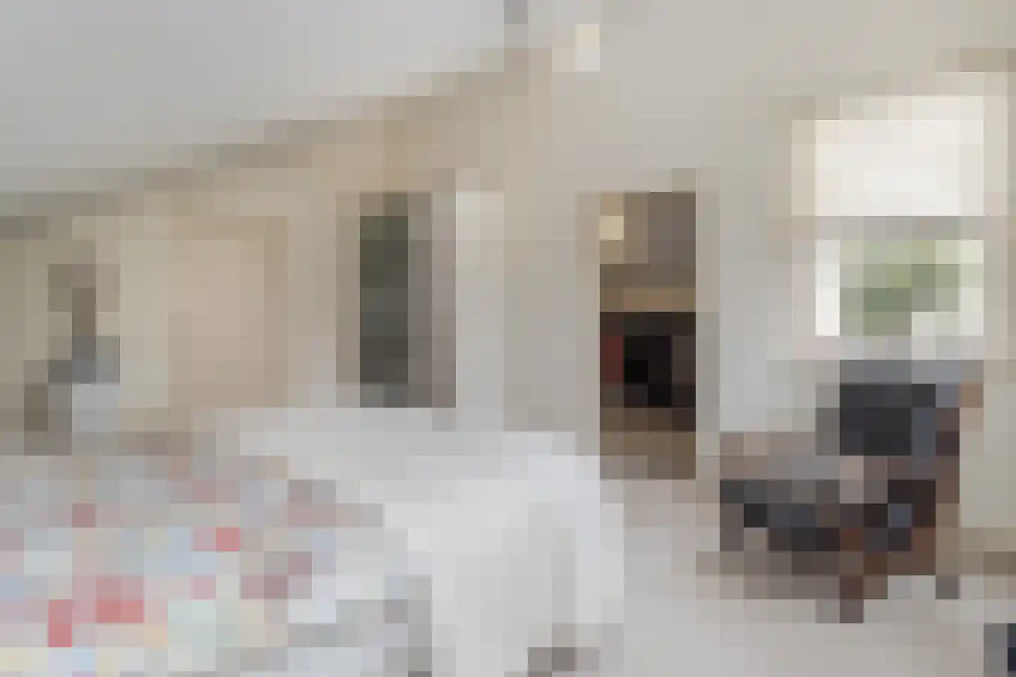 Kruisweide 19 Nieuwstadt thumbnail 4