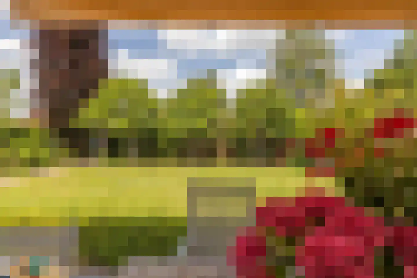 Kruisweide 19 Nieuwstadt thumbnail 45