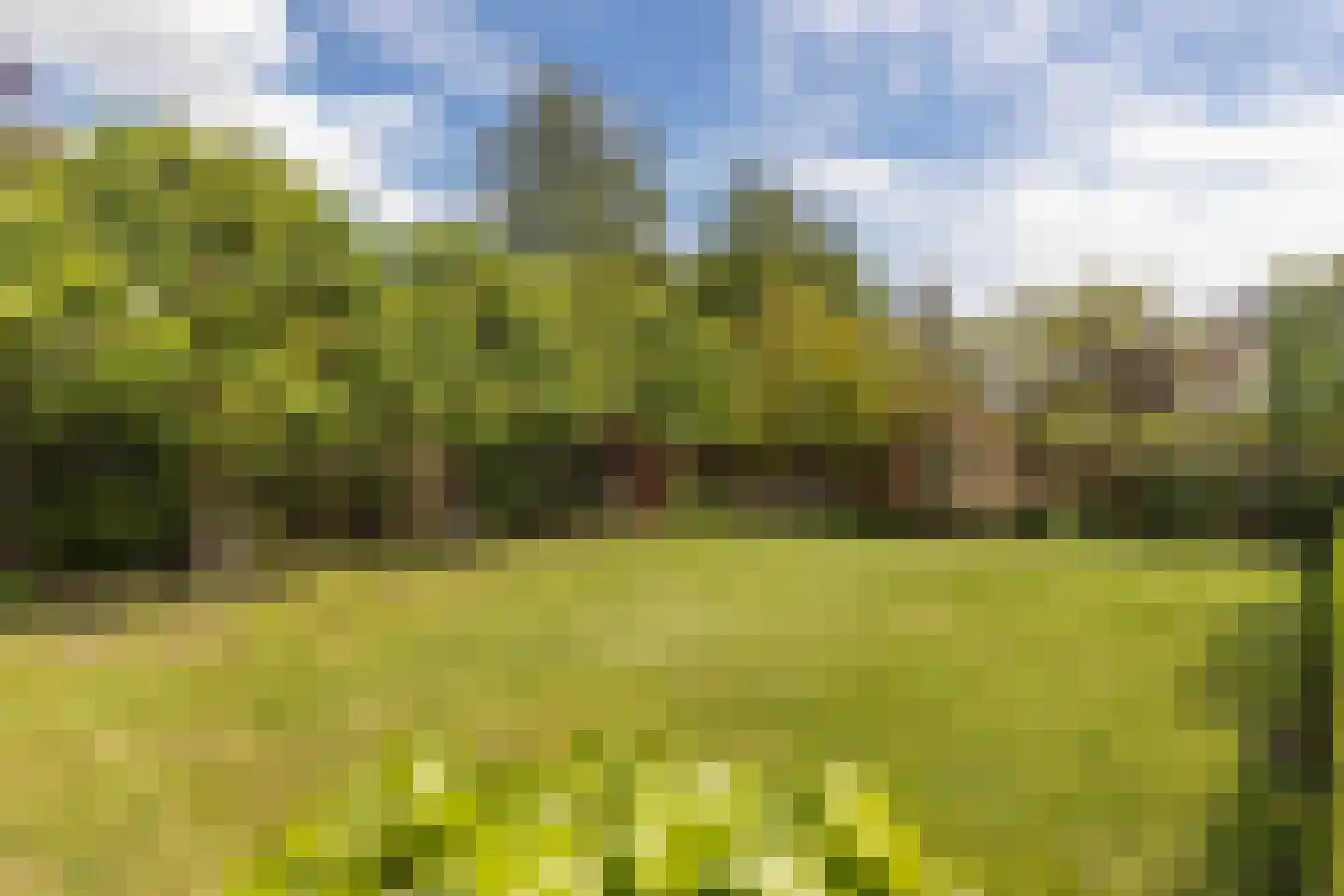 Kruisweide 19 Nieuwstadt thumbnail 46