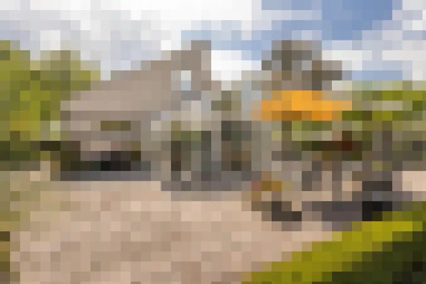 Kruisweide 19 Nieuwstadt thumbnail 48