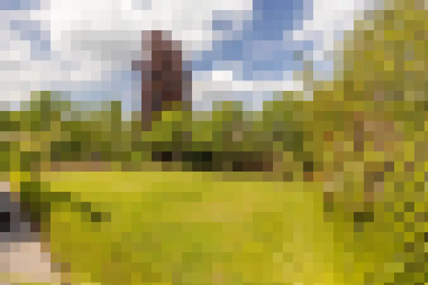 Kruisweide 19 Nieuwstadt thumbnail 49