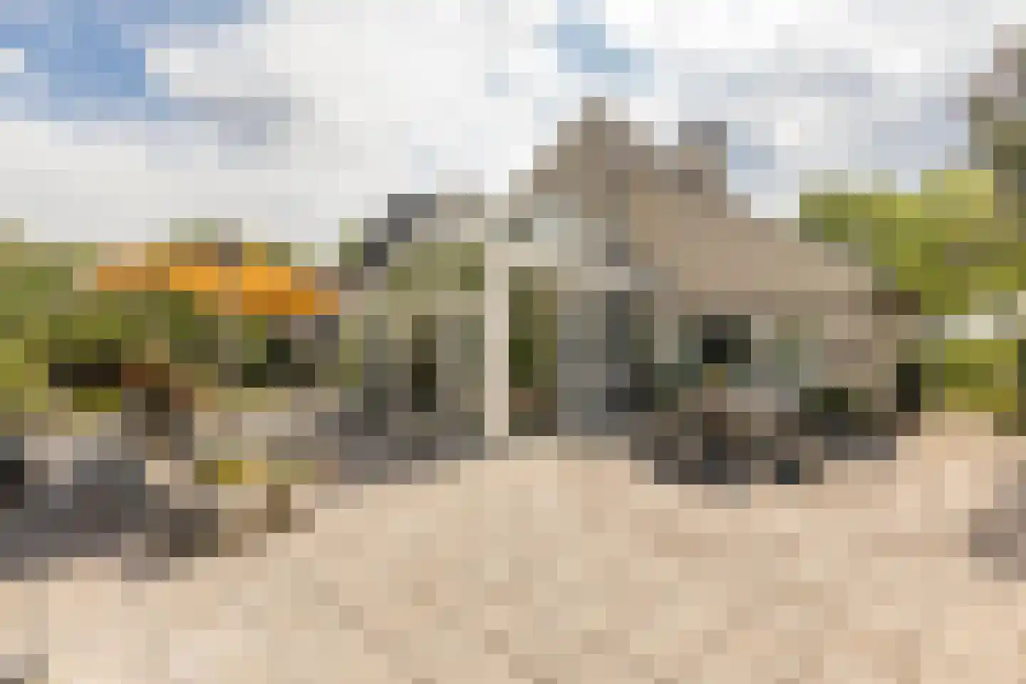 Kruisweide 19 Nieuwstadt thumbnail 50