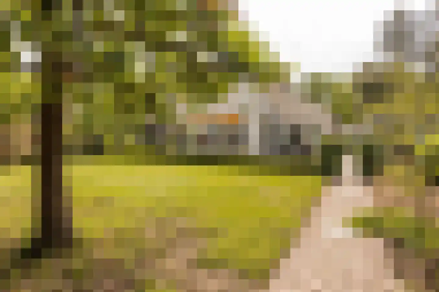 Kruisweide 19 Nieuwstadt thumbnail 51