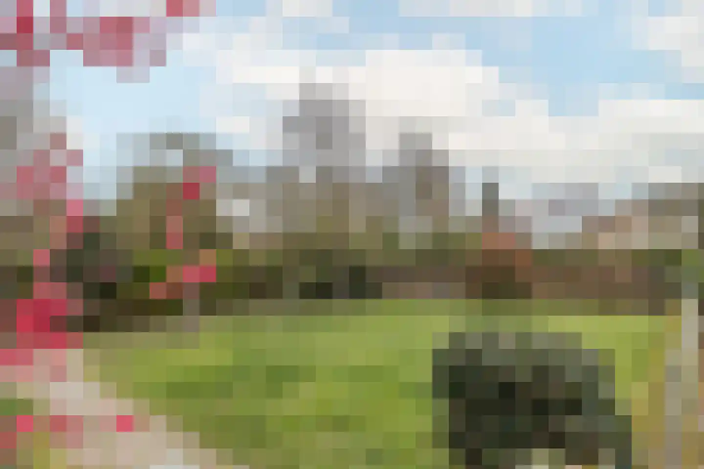 Kruisweide 19 Nieuwstadt thumbnail 53