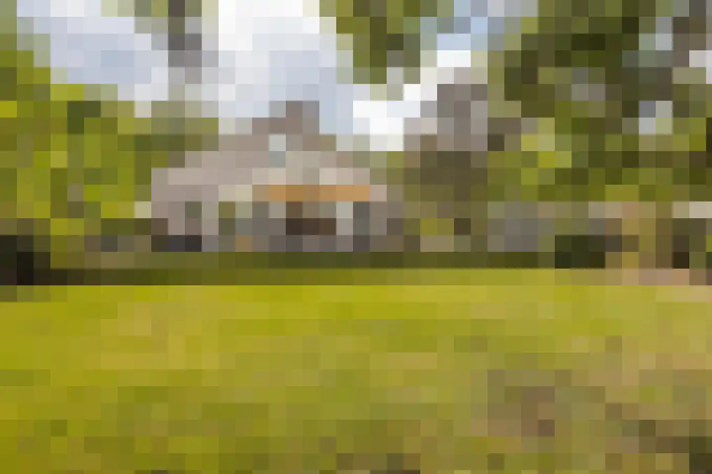 Kruisweide 19 Nieuwstadt thumbnail 6