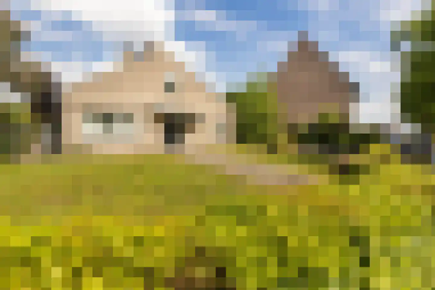Kruisweide 19 Nieuwstadt thumbnail 7