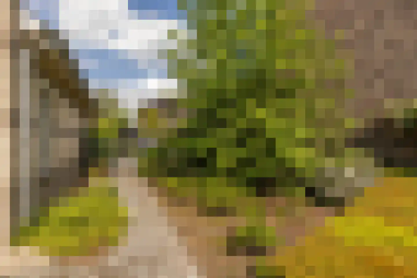 Kruisweide 19 Nieuwstadt thumbnail 9