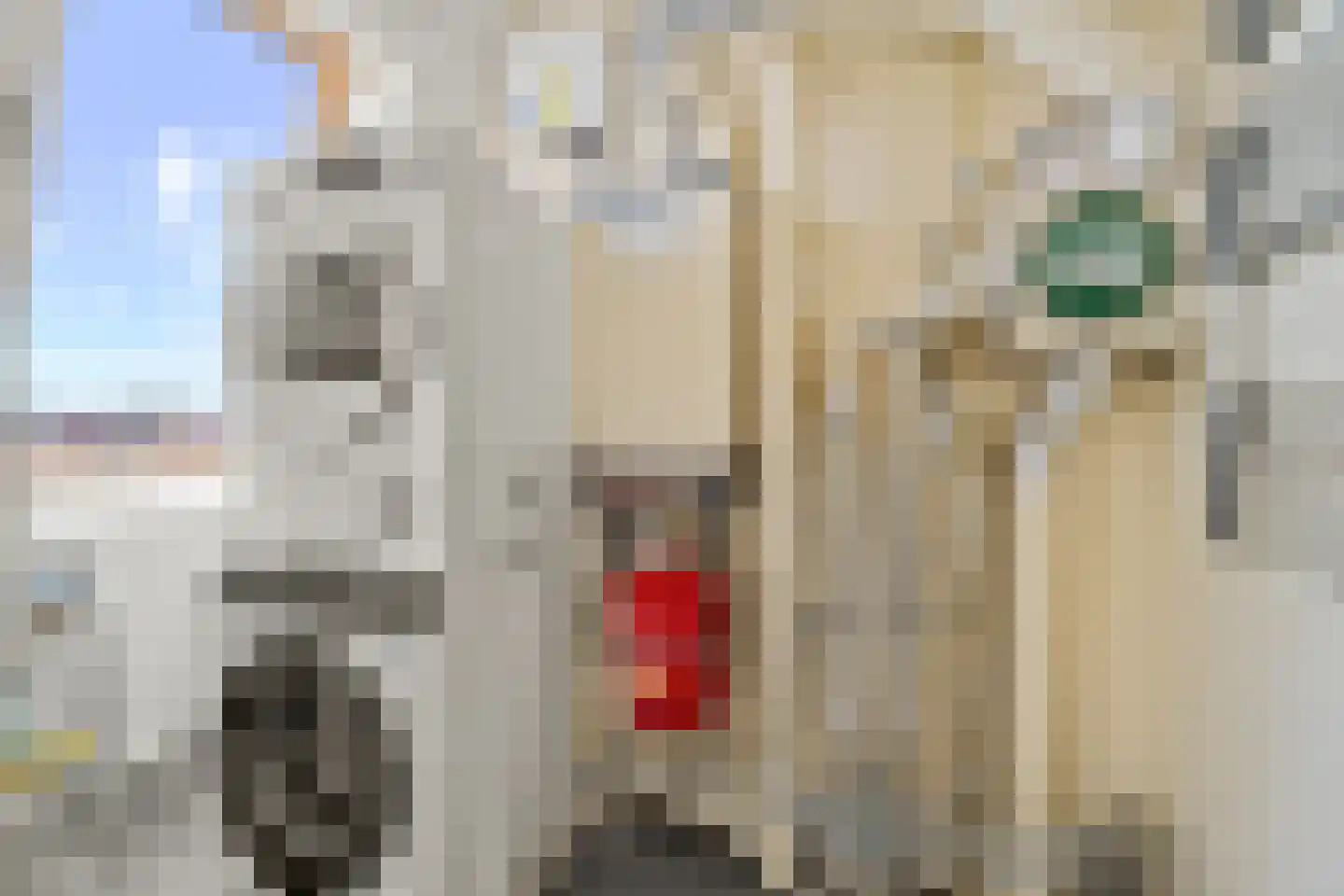 Kruiswortel 1 De Meern thumbnail 34