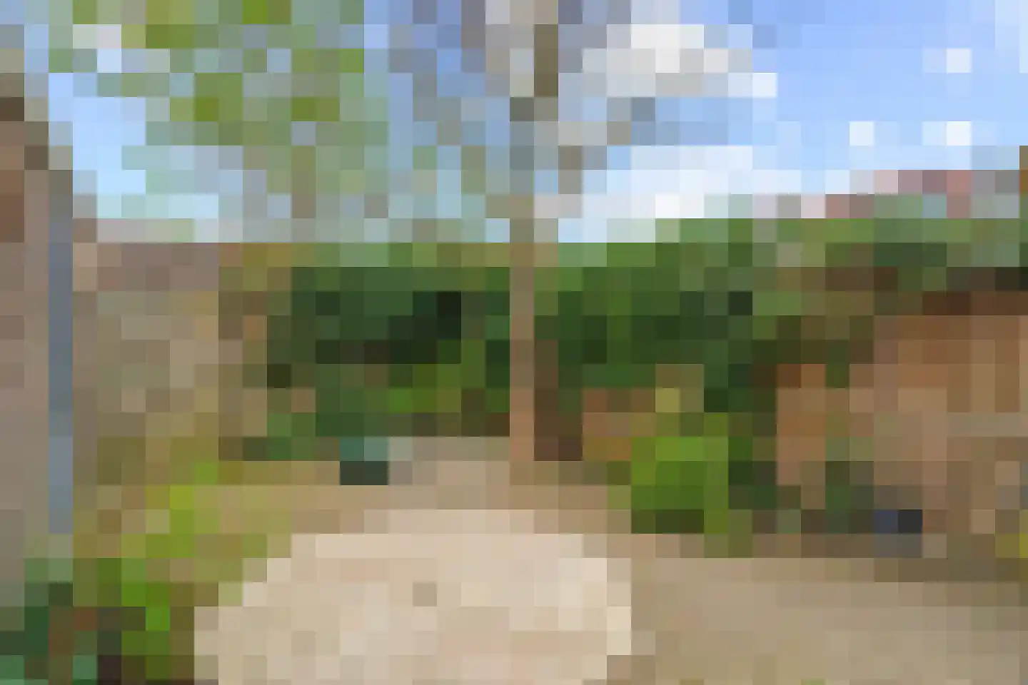 Kruiswortel 1 De Meern thumbnail 35