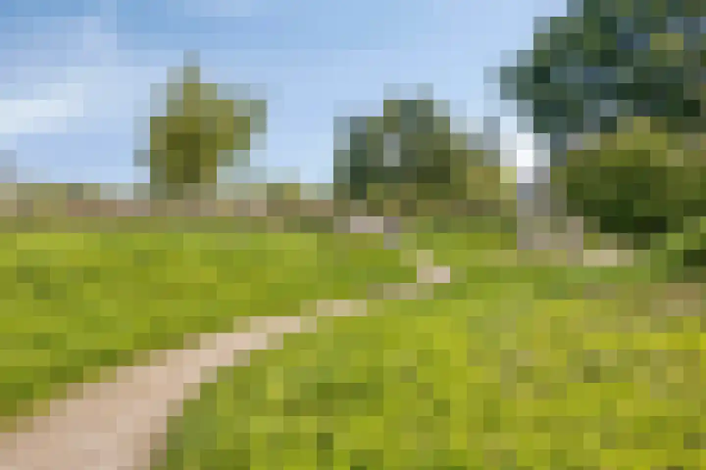 Kruiswortel 14 De Meern thumbnail 32