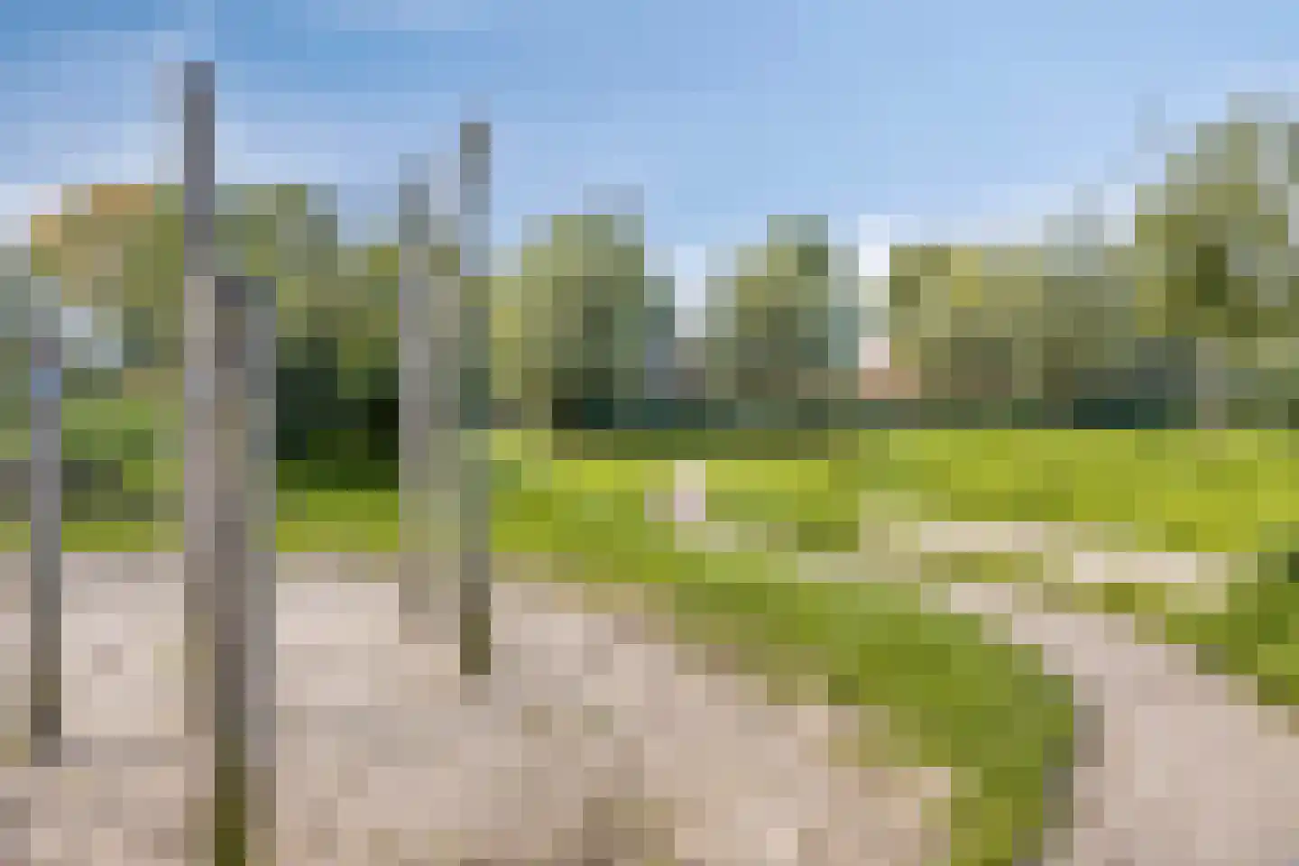 Kruiswortel 14 De Meern thumbnail 33