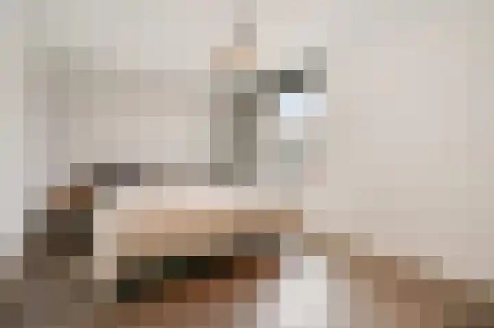 Kruiswortel 2 De Meern thumbnail 13