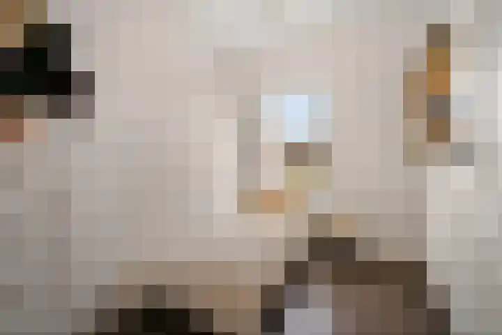 Kruiswortel 2 De Meern thumbnail 19