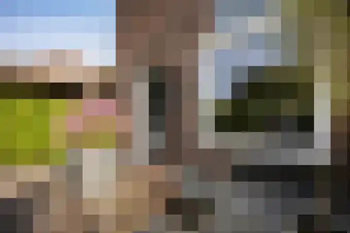 Kruiswortel 2 De Meern foto 2
