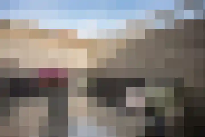 Kruiswortel 2 De Meern thumbnail 25