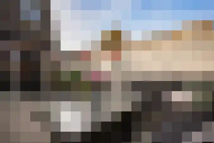 Kruiswortel 2 De Meern thumbnail 26