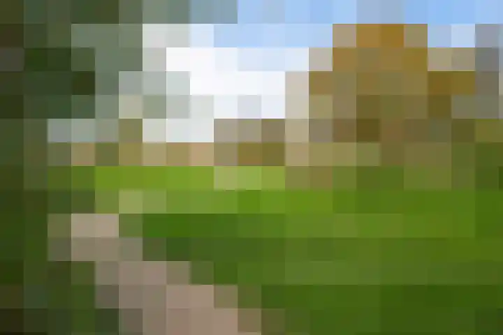 Kruiswortel 2 De Meern thumbnail 27